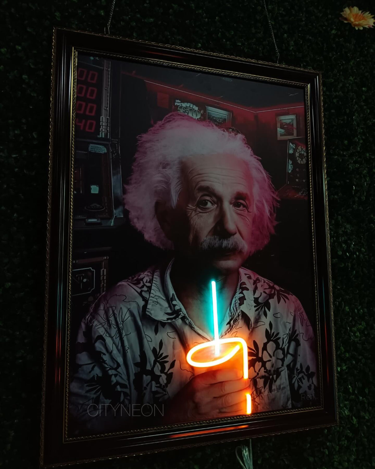 Einstein Framed Neon Sign - Contemporary Decor for Home and Business - CityNeon