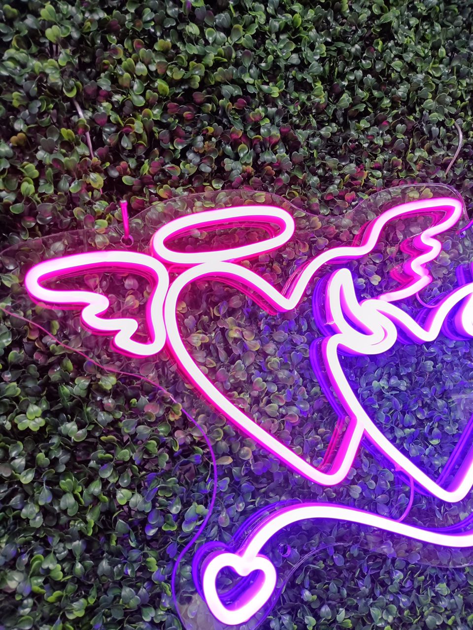 Angel and Devil Neon Sign – Custom Heart Neon Sign for Weddings and Bedroom Decor - CityNeon