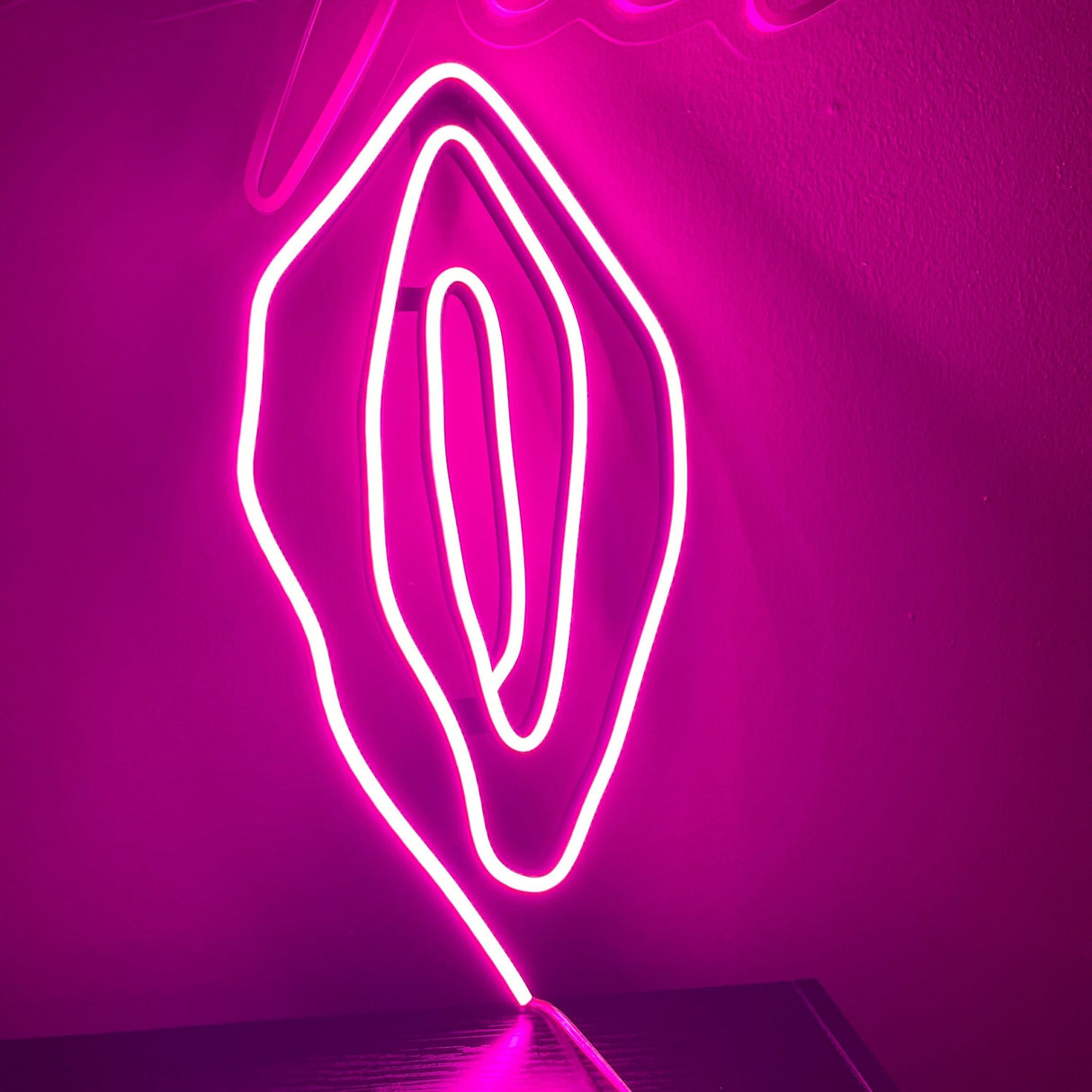 Erotic Lamps - Love Lights. Unique bedside & adult LED. Pussy Neon - Intimate Art for Bedroom or Sex Shop 16x8"inches - CityNeon