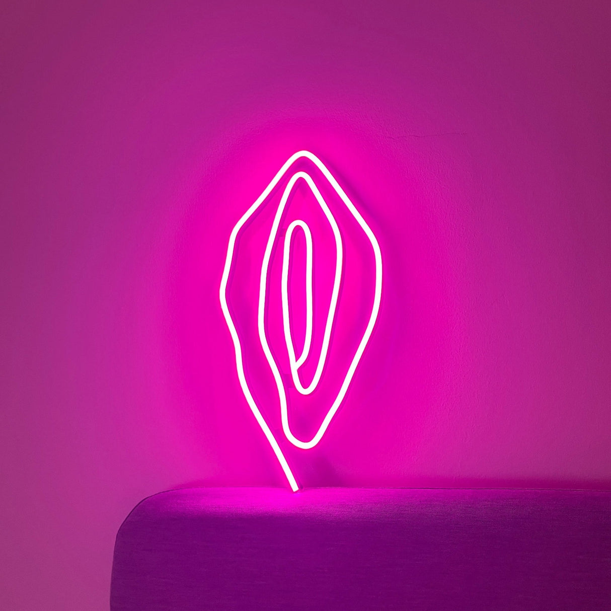 Erotic Lamps - Love Lights. Unique bedside & adult LED. Pussy Neon - Intimate Art for Bedroom or Sex Shop 16x8"inches - CityNeon