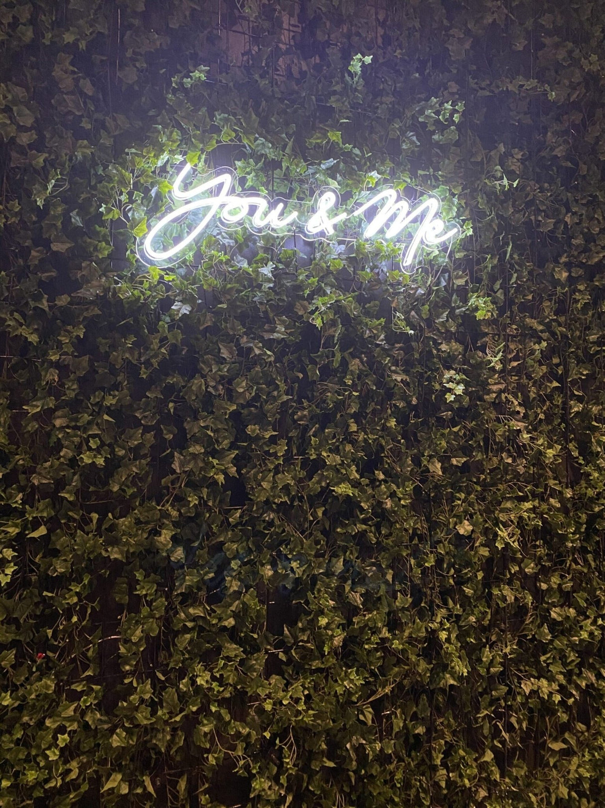 You and Me Neon Sign - Wedding LED Decor - CityNeon